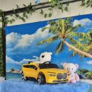 애견시선 이미지