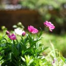 중제고택민박 이미지