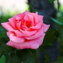 정관 구목정공원 이미지