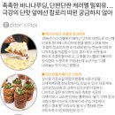 디저트라곰 이미지