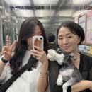 유성건기 | 대화에 많은 설명이 필요하지 않다는 사람이 있다는 건