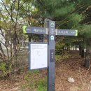 오산1리 이미지