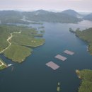 보람 태양광발전소 이미지