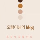 배떡 풍동식사점 네이버블로그