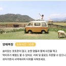 미우농장 | [나트랑 5일차] 판랑투어부터 공항샌딩까지 마지막 날 코스!