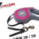 쿠치올로 이미지