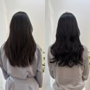[신사역 미용실 추천] 손상 적은 저온열펌 전문 바비수앤 레이어드펌 후기 with 수연 디자이너