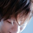 다니 카카오 검색결과