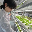 학교부설 이미지