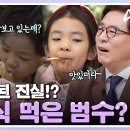 11월28일 아빠는 꽃중년 선공개 오늘 알게 된 진실? 장보는 신성우&amp;김원준와 꽃둥이들과 시장 음식 먹고 있던 김범수 영상 이미지