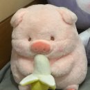 개심 이미지