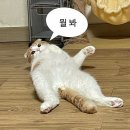 마산가옥