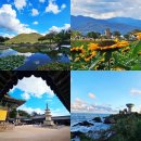 경주 당일치기 여행 감성 코스 이미지