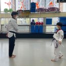 STS한국체대태권도 이미지