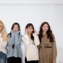 쪼꼬미네 이미지