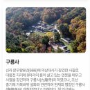 [팸투어]10/7(수) 원주트레킹 #1황장목숲길.구룡사/열차와 버스연계해서 가을소풍갑니다 (40명-마감) 이미지