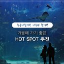 겨울에 가기좋은 HOT SPOT 추천 이미지