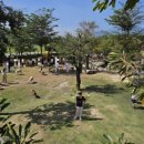 해피카 | 내돈내산)나트랑 필수코스인가? 판랑사막투어 신청 방법 및 해피카 업체 후기 파헤치기