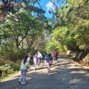 부산TIA태권도 이미지