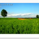 솔미목장 이미지