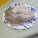 용인실내바다낚시터 이미지