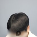 디비전 스칼프 이미지