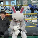 MADE BOXING 이미지