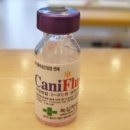 대현동물약국 이미지