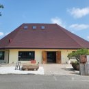 브런치앤숲 이미지