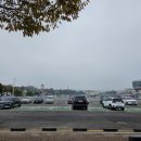 더포비 이미지
