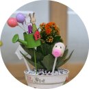 송라초 병설유치원 네이버블로그