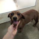 전주풍남초등학교 이미지