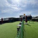 도그마루 강아지 고양이 천안아산점 | &#39;도그마루 강아지 고양이 천안아산점&#39; - 천안강아지분양 믿고 맡긴 후기, 후회 없는 선택이었어요!