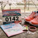 벚꽃플러스 | 2026 안양천 벚꽃 마라톤 완벽 가이드접수 · 수육런 · 후기 · 주차 총정리