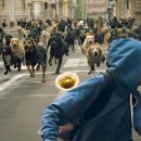 (주)견공 이미지