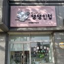 댕댕인럽 이미지