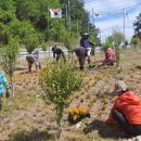 웅치마을영농회 이미지