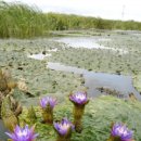 뉴으스 영상으로 즐기기~~ 이미지