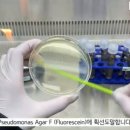 G1821 네이버블로그