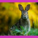 태평양마트 이미지