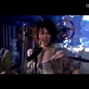 낭만고양이 이미지