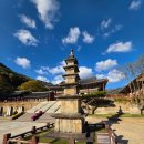 화엄사1로 | # 전남 구례 화엄사 - 25.11