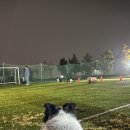 그루밍독 연구소 이미지