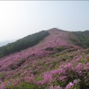 2015년 5월 69차 정기산행공지 / 전북 남원 봉화산 (920m) 이미지