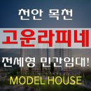고운올