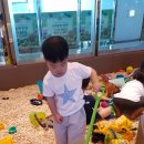 슈슈봉봉 이미지