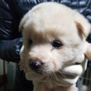 소사2길 이미지