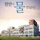 비바마켓