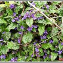 성암마을회관 이미지