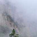 세왕 이미지